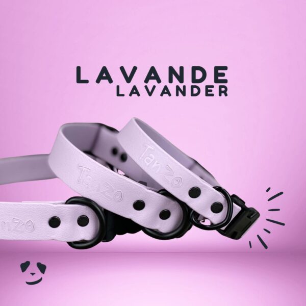 Collier pour chien en Biothane – Lavande | Biothane Dog Collar – Lavender – Made in Canada