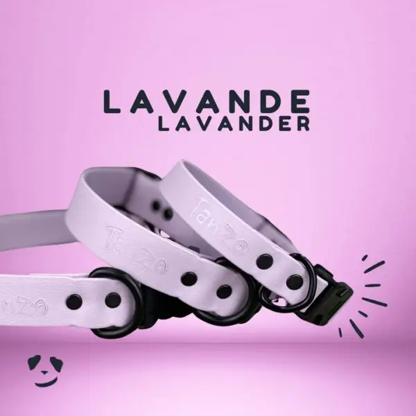 Collier pour chien lavande en Biothane, doux, résistant à l’eau et sans odeur – fait au Québec Lavender Biothane dog collar – soft, waterproof, odorless, and handmade in Canada