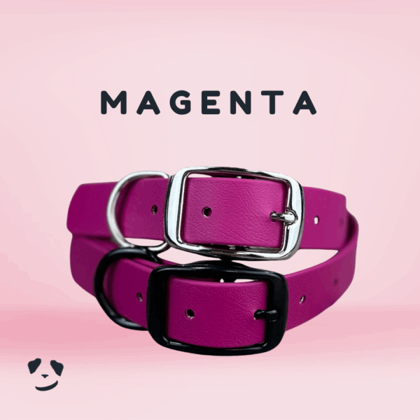 Collier pour chien en biothane robuste magenta