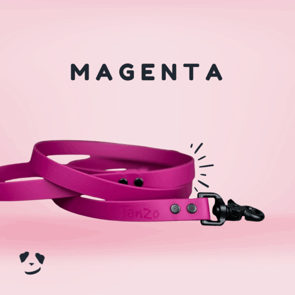 Magenta biothane dog leash | Laisse en biothane magenta. Best biothane leash in Canada