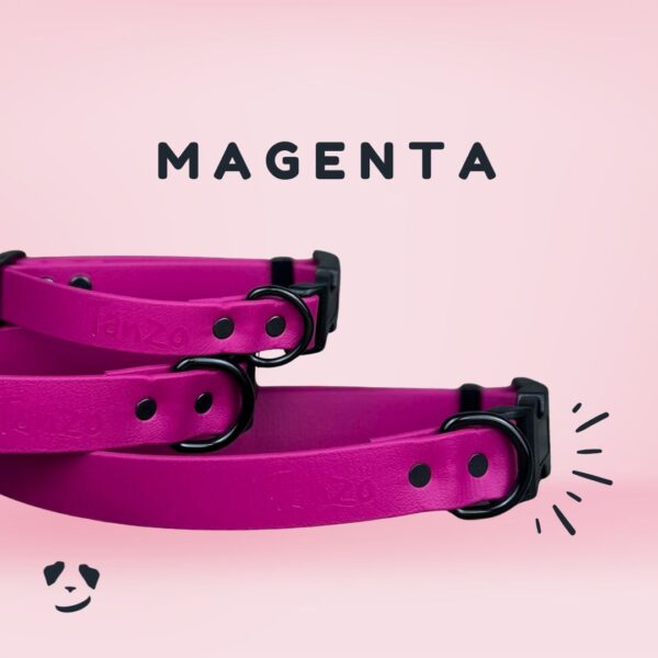 Collier pour chien en Biothane magenta, vibrant et imperméable – fabrication artisanale au Québec
Magenta Biothane dog collar – vibrant, waterproof, and handmade in Canada