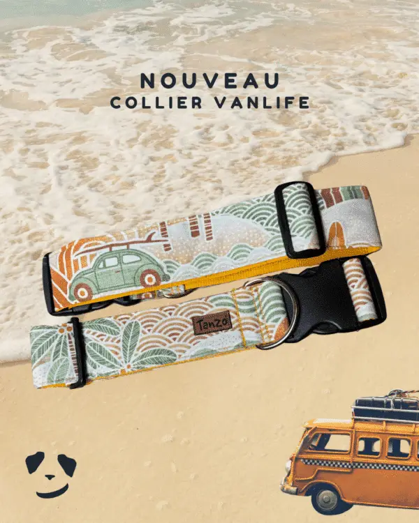 Collier VanLife Tanzo pour chien – imprimé rétro, sans métal, fait au Québec