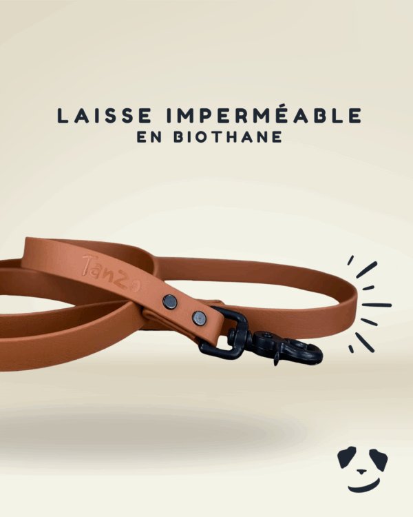 La meilleure laisse pour chien imperméable au québec