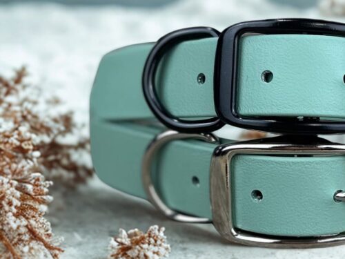 Collier pour chien en Biothane à boucle-ceinture