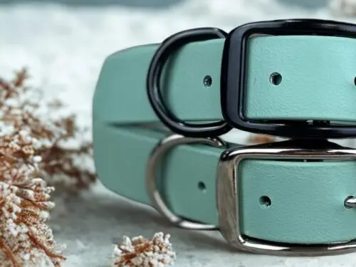 Collier pour chien robuste à boucle ceinture – Créations Tanzo