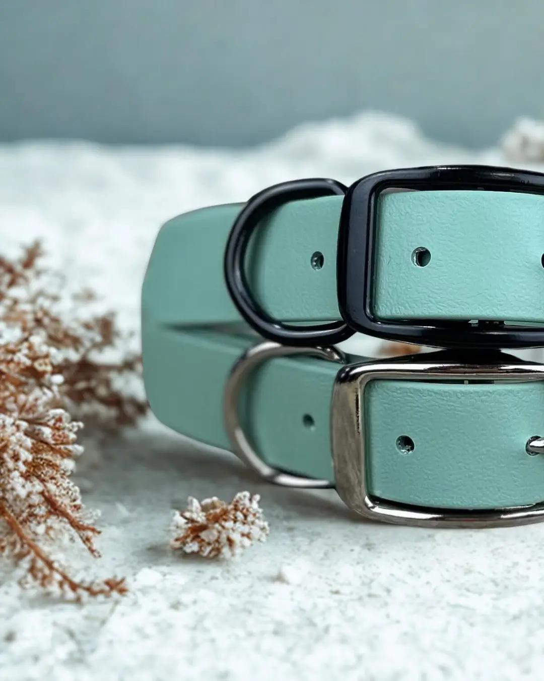 Collier pour chien robuste à boucle ceinture – Créations Tanzo