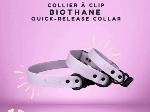 Collier pour chien en biothane, à clip, attache rapide