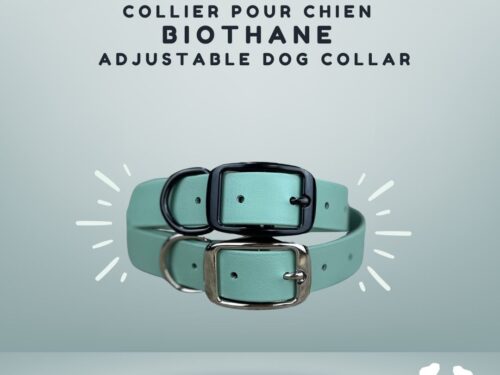 Collier pour chien ajustable en biothane dog collar