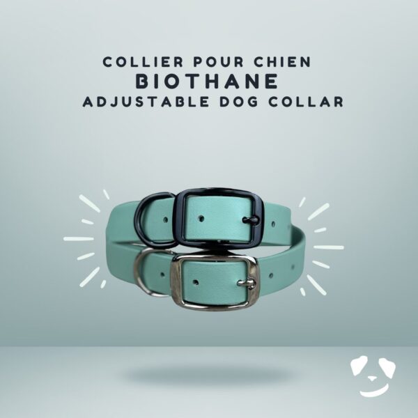 Collier pour chien ajustable en biothane dog collar