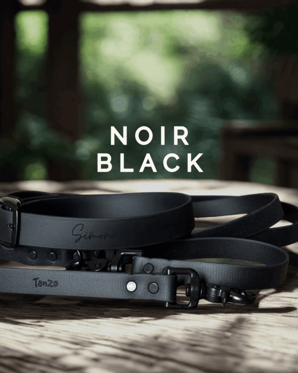 Collier et laisse pour chien en Biothane noir avec quincaillerie noire, Créations Tanzo.