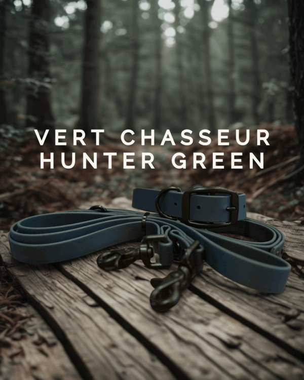 Collier et laisse pour chien en Biothane vert chasseur avec quincaillerie noire, Créations Tanzo.