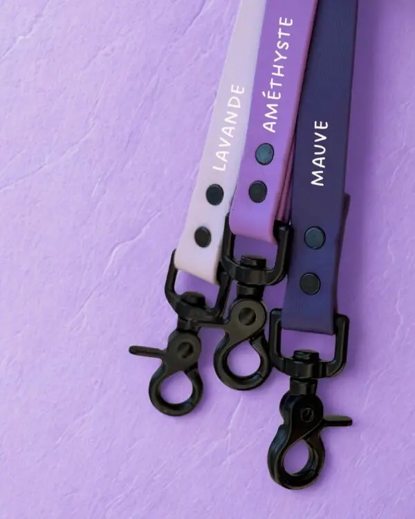 rois laisses en Biothane pour chien avec quincaillerie noire, alignées côte à côte sur fond mauve : Lavande (pale), Améthyste (violet vif) et Mauve (profond).