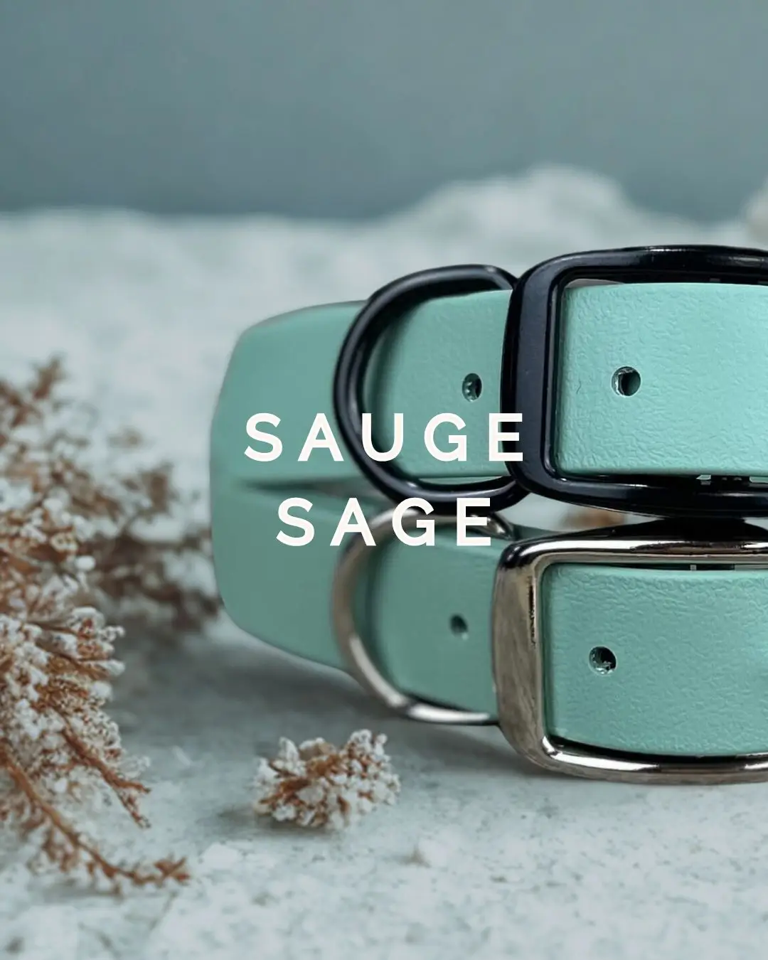 Collier pour chien en Biothane – Sauge | Biothane Dog Collar – Sage – Made in Canada