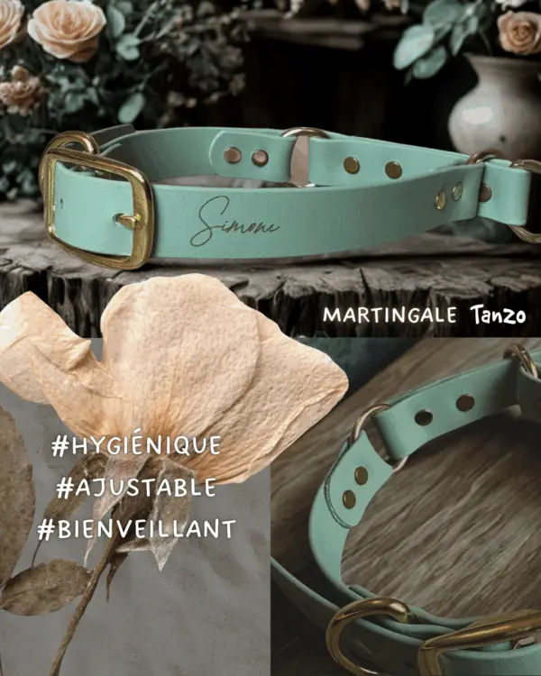 Collier martingale vert sauge en Biothane avec boucle dorée et quincaillerie assortie, gravé au nom "Simone". Présentation élégante avec mise en scène florale et détails visuels du produit.