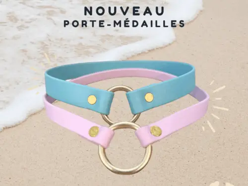 Porte-médailles en Biothane bleu et rose pastel avec anneaux dorés, posés sur du sable au bord de l’eau, pour chiens. Accessoire minimaliste et élégant, idéal pour médaille d’identification.