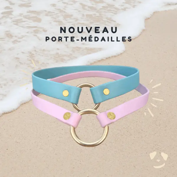 Porte-médailles en Biothane bleu et rose pastel avec anneaux dorés, posés sur du sable au bord de l’eau, pour chiens. Accessoire minimaliste et élégant, idéal pour médaille d’identification.