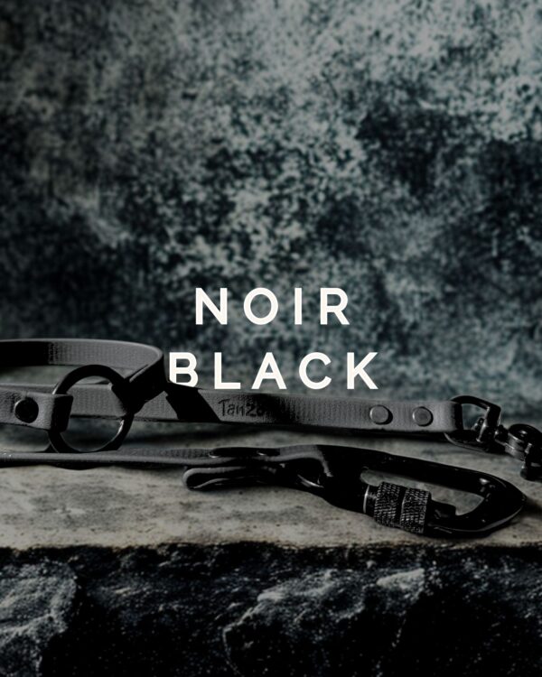Laisse pour chien en Biothane noir avec quincaillerie noire. Un look chic et minimaliste “black on black”, présenté sur fond texturé.