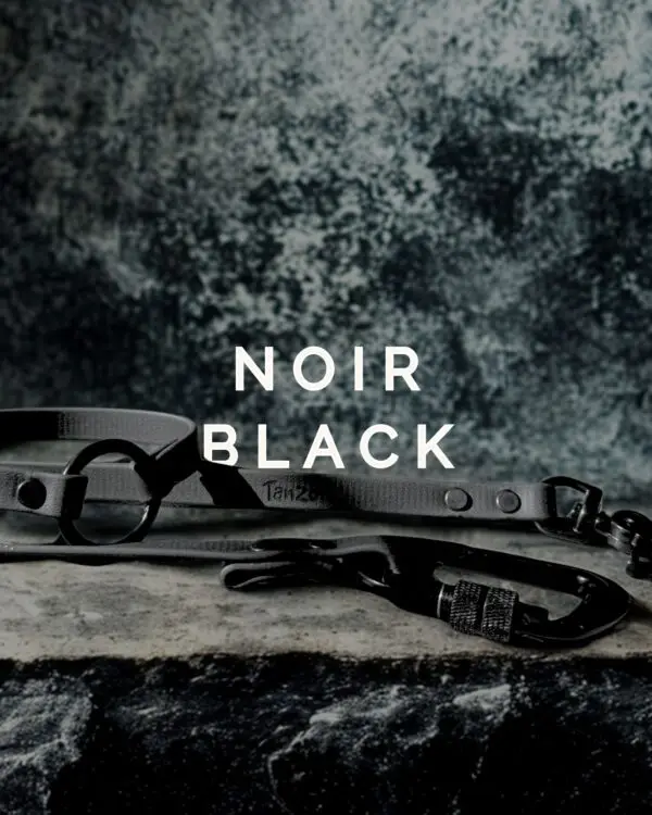 Laisse pour chien en Biothane noir avec quincaillerie noire. Un look chic et minimaliste “black on black”, présenté sur fond texturé.