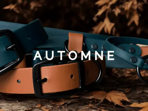 Collier pour chien bicolore en Biothane, vert forêt et caramel, solide et ajustable, avec boucle noire.