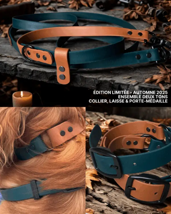 Ensemble pour chien en Biothane automne 2025, collier bicolore ajustable, laisse multifonction et porte-médaille assorti.
