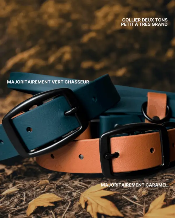 Collier pour chien bicolore en Biothane, vert forêt et caramel, solide et ajustable, avec boucle noire.