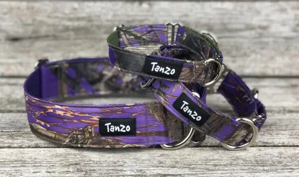 Colliers pour chien camouflage violet avec clip de sécurité – différents formats – Tanzo